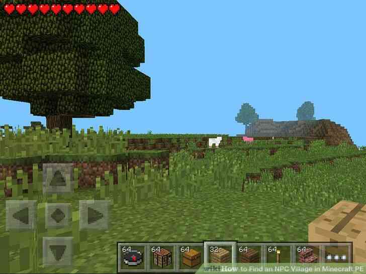 Image intitulé de Trouver un PNJ du Village dans Minecraft PE à l